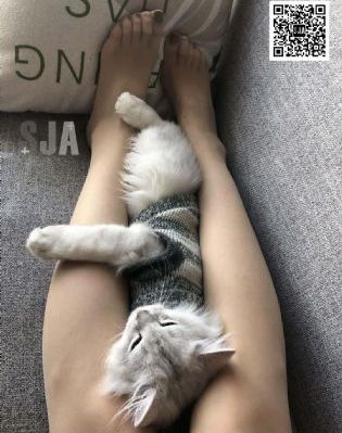 国产精品一区二区精品视频导航_西瓜视频免费观看